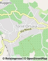 Via Mulino, 6/B,84077Torre Orsaia