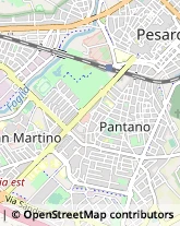 Via delle Contramine, 10,61121Pesaro