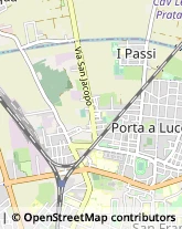 Via Contessa Matilde, 4,56123Pisa