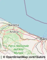 Riproduzione Disegni - Servizio,76123Barletta-Andria-Trani