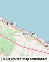 Riproduzione Disegni - Servizio,76125Barletta-Andria-Trani