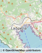 Laser - Apparecchi,19126La Spezia