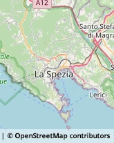 Pediatri - Medici Specialisti,19020La Spezia