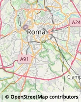 Via Andrea Millevoi, 65,00178Roma