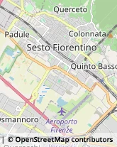 Feste - Organizzazione e Servizi,50019Firenze