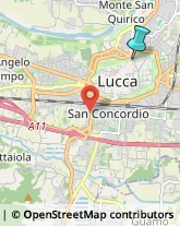 Locali, Birrerie e Pub,55100Lucca