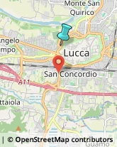 Locali, Birrerie e Pub,55100Lucca