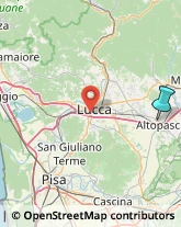 Locali, Birrerie e Pub,55015Lucca