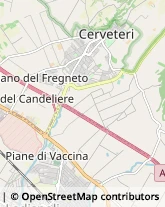 Via Settevene Palo, 113-a,00052Cerveteri