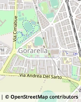 Viale Luigi Einaudi, 8,58100Grosseto