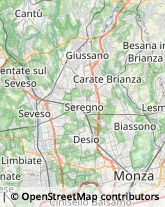 Franchising - Consulenza e Servizi,20851Monza e Brianza