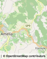 Via Roma, 48/C,05022Amelia