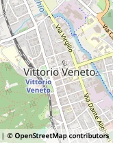 Via Giosuè Carducci, 13,31029Vittorio Veneto