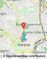 Banche e Istituti di Credito,21100Varese