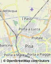 Via Santa Cecilia, 12,56127Pisa