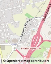 Via Milano, 19,00065Fiano Romano