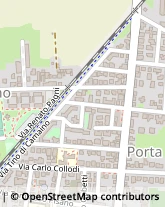 Via di Gagno, 28,56123Pisa