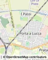 Ristoranti,56123Pisa