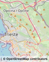 Autofficine e Centri Assistenza,34137Trieste