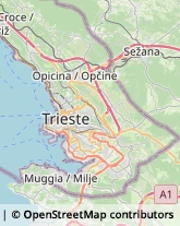 Riscaldamento - Imprese e Gestioni,34148Trieste