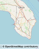 Consulenza Agricoltura e Foresta,73048Lecce