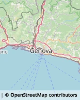 Via Branega, 23,16157Genova