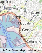 Relazioni Pubbliche,16128Genova