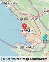 Impianti Condizionamento Aria - Installazione,34018Trieste