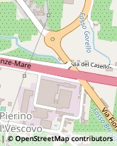 Vivai Piante e Fiori,51100Pistoia