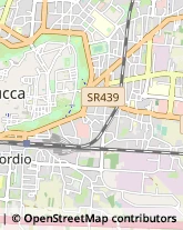 Via Romana, 95,55100Lucca