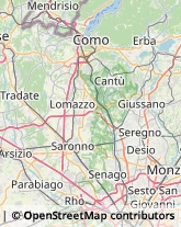 Ortofrutticoltura,20832Monza e Brianza