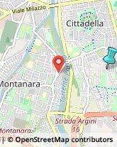 Agenti e Rappresentanti di Commercio,43123Parma