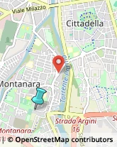 Agenti e Rappresentanti di Commercio,43124Parma