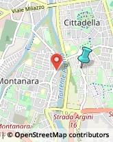 Agenti e Rappresentanti di Commercio,43100Parma