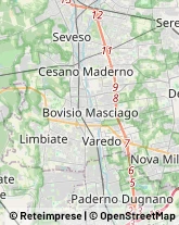 Via Alleanza, 50,21040Limbiate