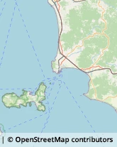 Autofficine e Centri Assistenza,57021Livorno