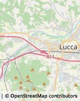 Parrucchieri,55100Lucca