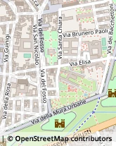 Via S. Nicolao, 65,55100Lucca