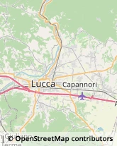 Impianti Sportivi,55012Lucca