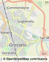 Via Tagliamento, 11,58100Grosseto