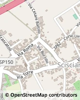 Via Sabato Borzillo, 12,80030Scisciano