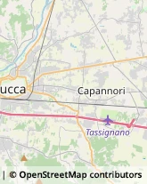 Campeggi, Villaggi Turistici e Ostelli,55100Lucca