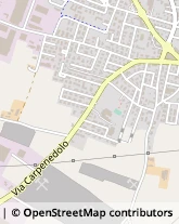 Via Carpenedolo, 58/60,46043Castiglione delle Stiviere