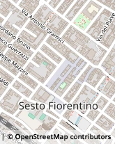 Via Felice Cavallotti, 56,50019Sesto Fiorentino