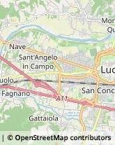 Via delle Rose, 167,55100Lucca