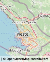 Impianti Sportivi,34148Trieste