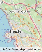 Via Lorenzo Lorenzetti, 46,34144Trieste