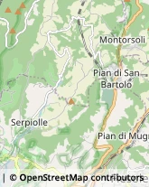 Via Cipressini, 14,50014Fiesole