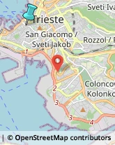 Case di Riposo e Istituti di Ricovero per Anziani,34124Trieste