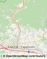 Via delle Suore, 11,55013Capannori